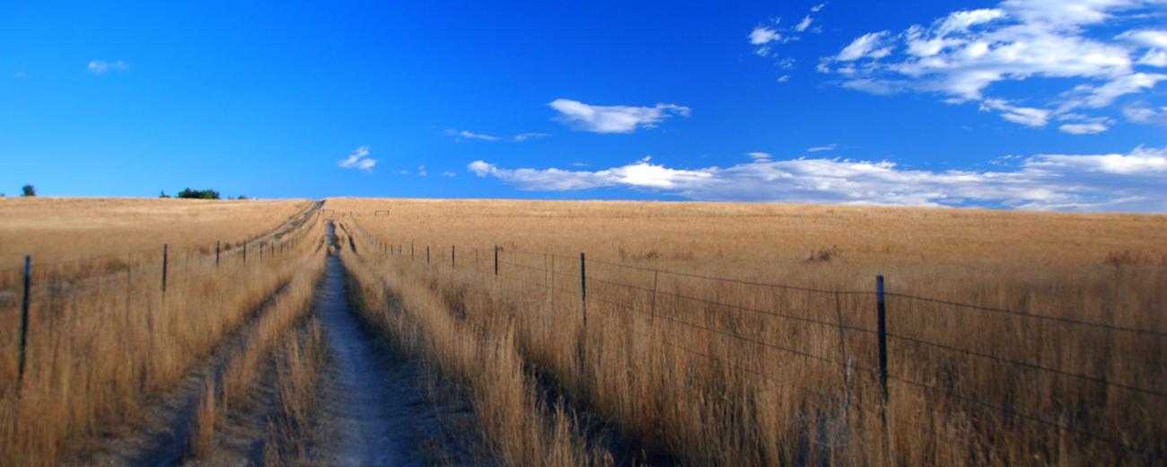 Lamar Colorado